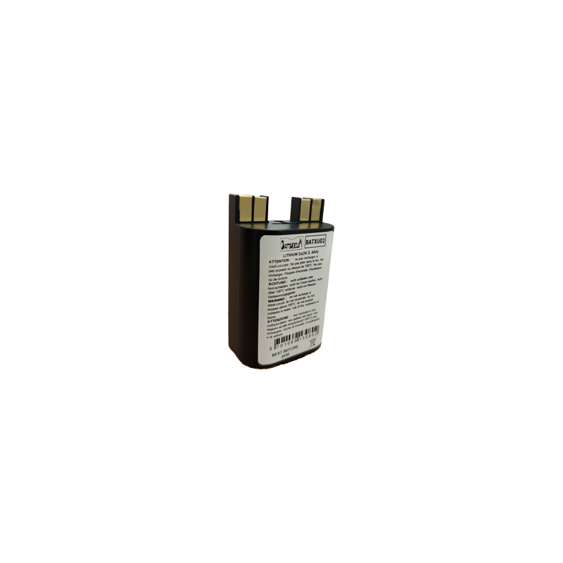 Pile Batterie Allarme BATXU02 - 2 x (3V - 2.4Ah) - Compatibile RXU02X DAITEM/LOGISTY Pile Batterie Allarme BATXU02 - 2 x (3V - 2.4Ah) - Compatibile RXU02X DAITEM/LOGISTY
